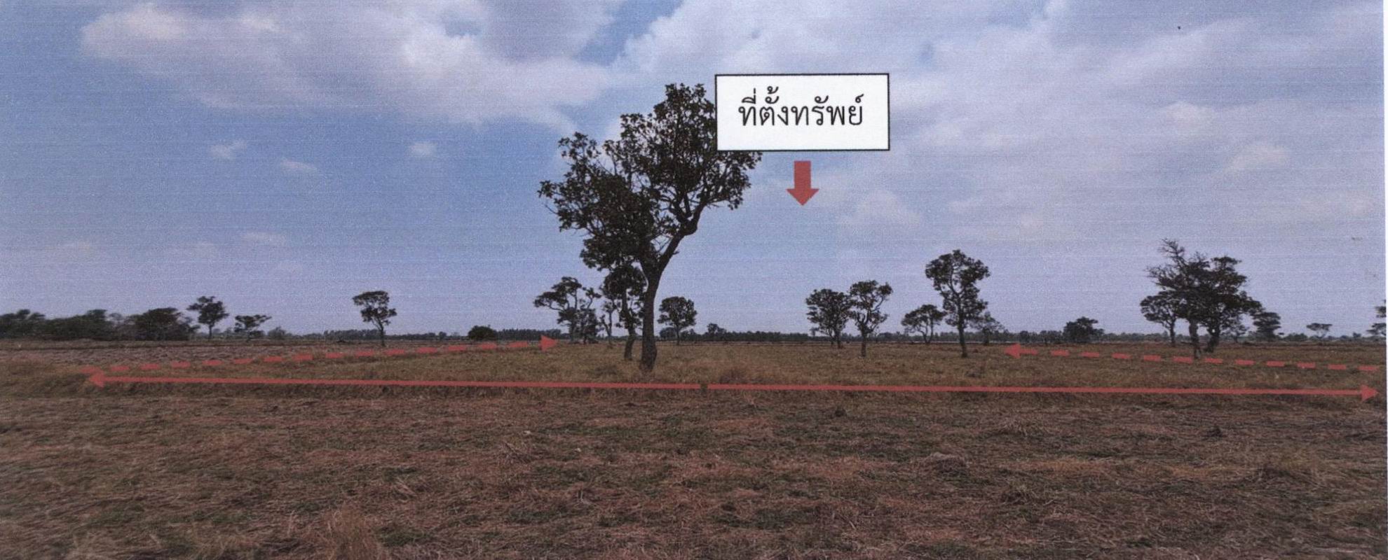 รูปที่ดินว่างเปล่า นาหนองไผ่ ชุมพลบุรี สุรินทร์
