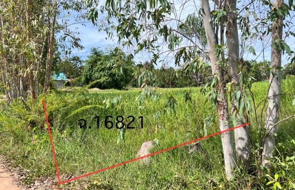 รูปที่ดินว่างเปล่า หนองบก เหล่าเสือโก้ก อุบลราชธานี