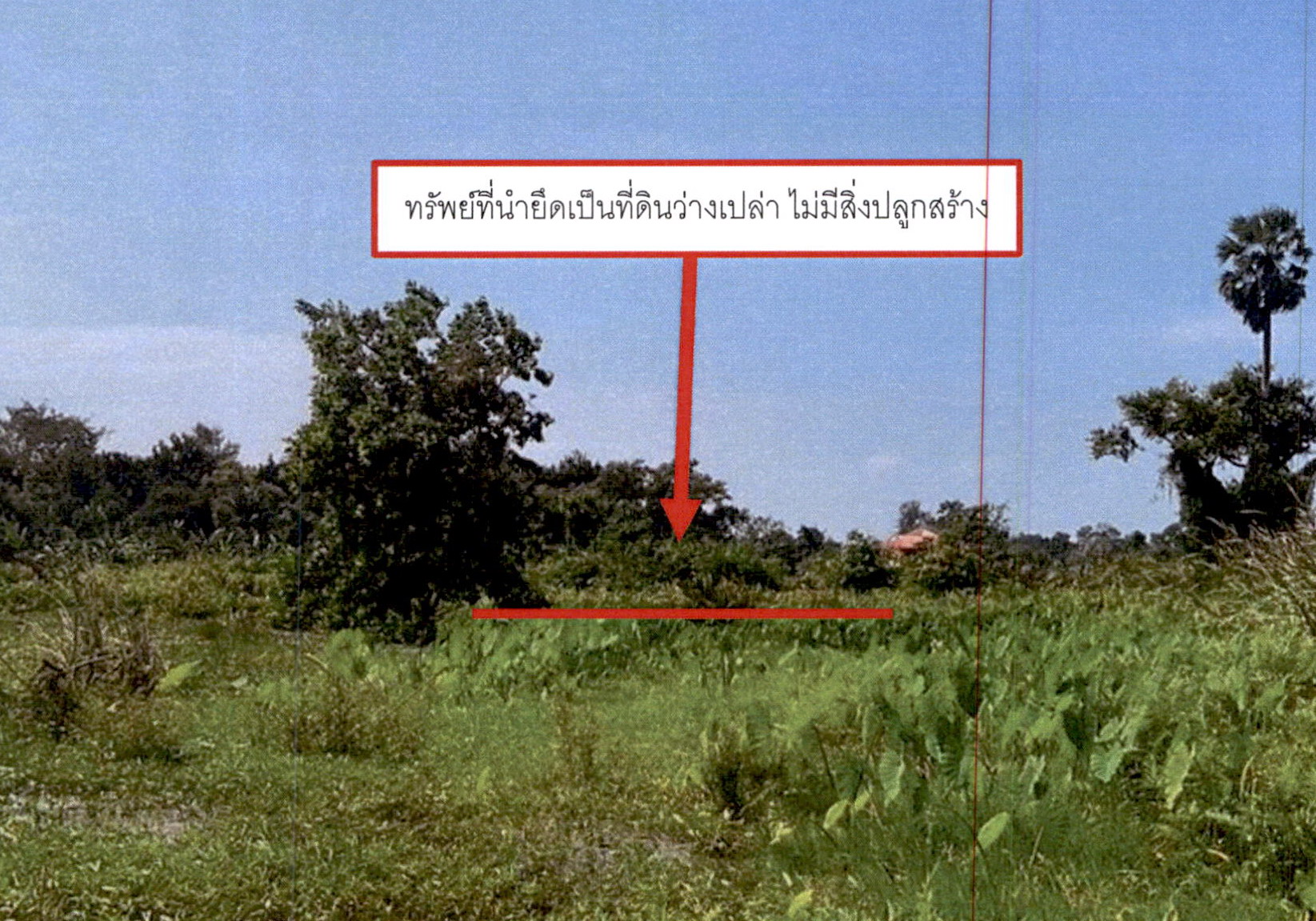 รูปที่ดินว่างเปล่า มะขามเตี้ย เมืองสุราษฎร์ธานี สุราษฎร์ธานี