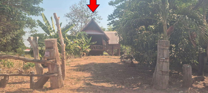 รูปที่ดินพร้อมสิ่งปลูกสร้าง โนนทัน หนองเรือ ขอนแก่น