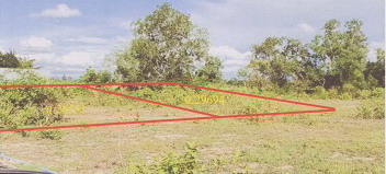 รูปที่ดินว่างเปล่า คลองชีล้อม กันตัง ตรัง
