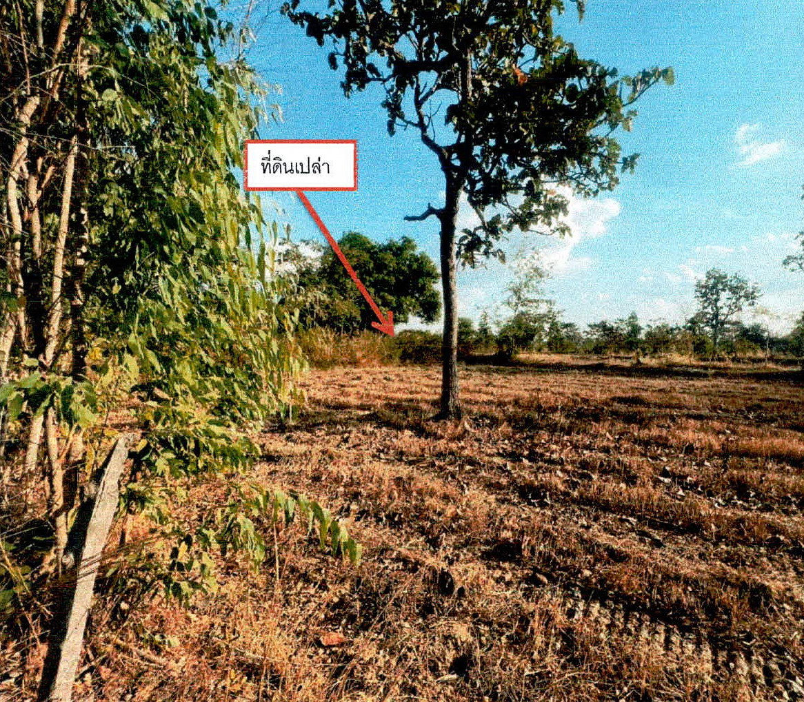 รูปที่ดินว่างเปล่า ลือ ปทุมราชวงศา อำนาจเจริญ