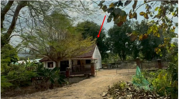 รูปที่ดินพร้อมสิ่งปลูกสร้าง ทุ่งกล้วย ภูซาง พะเยา