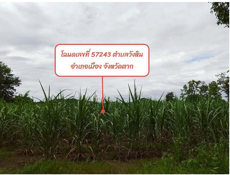 รูปที่ดินว่างเปล่า วังหิน เมืองตาก ตาก