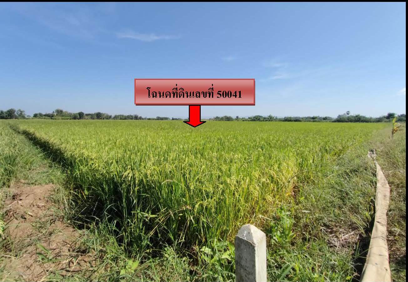 รูปที่ดินว่างเปล่า นาเฉลียง หนองไผ่ เพชรบูรณ์