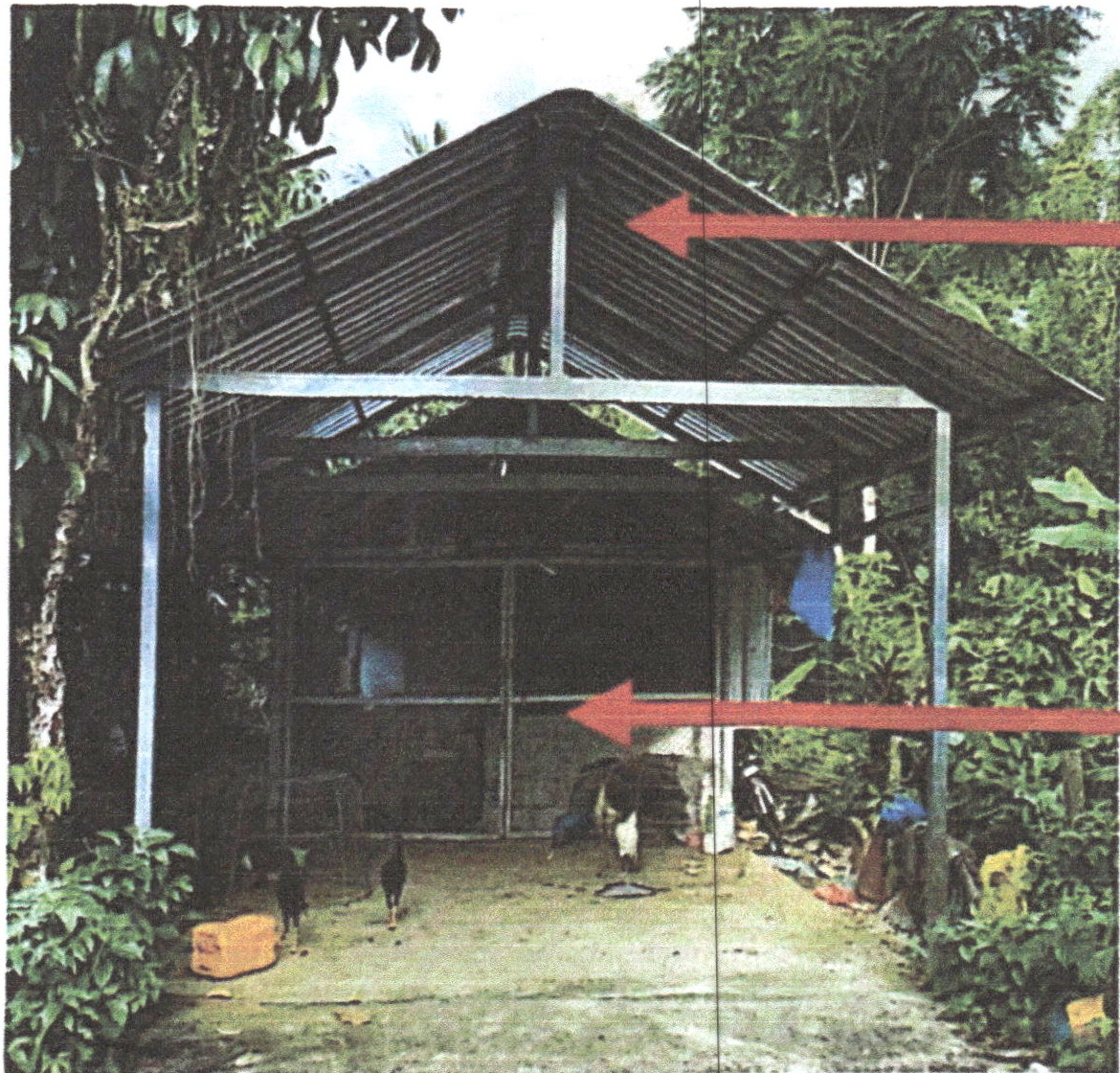 รูปที่ดินพร้อมสิ่งปลูกสร้าง บ้านนา ศรีนครินทร์ พัทลุง