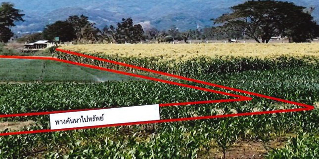 รูปที่ดินว่างเปล่า มะลิกา แม่อาย เชียงใหม่