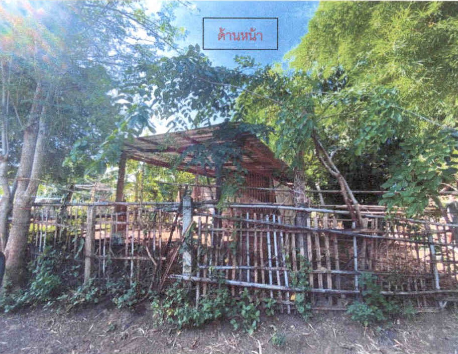 รูปที่ดินพร้อมสิ่งปลูกสร้าง บัวใหญ่ บัวใหญ่ นครราชสีมา