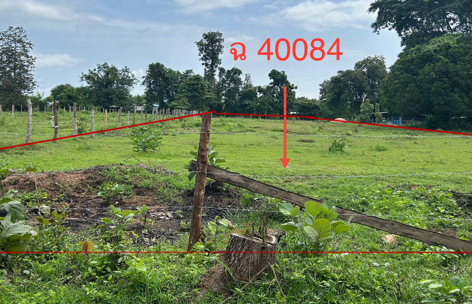 รูปที่ดินว่างเปล่า วังประจบ เมืองตาก ตาก
