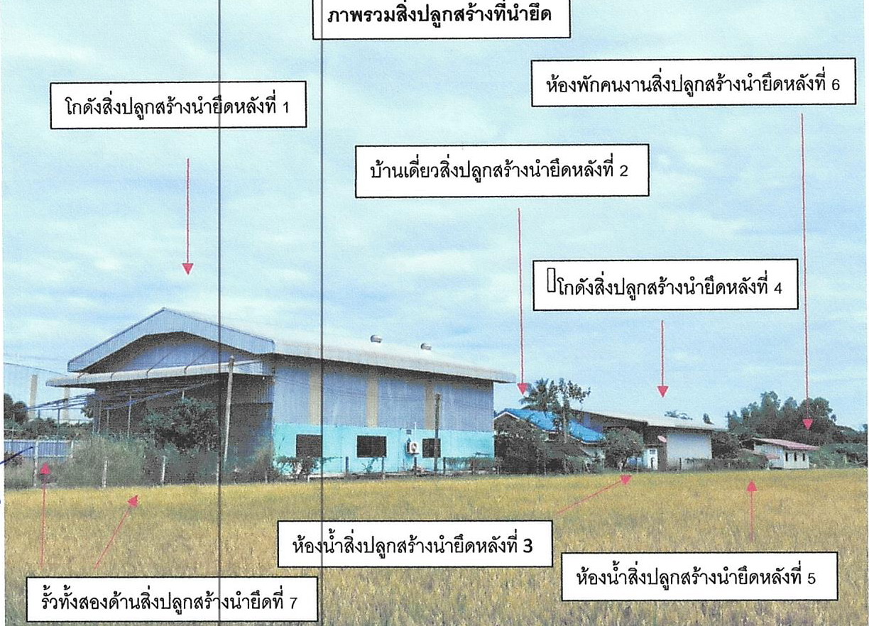 รูปที่ดินพร้อมสิ่งปลูกสร้าง เสือโฮก เมืองชัยนาท ชัยนาท