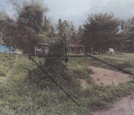 รูปที่ดินว่างเปล่า กำเนิดนพคุณ บางสะพาน ประจวบคีรีขันธ์