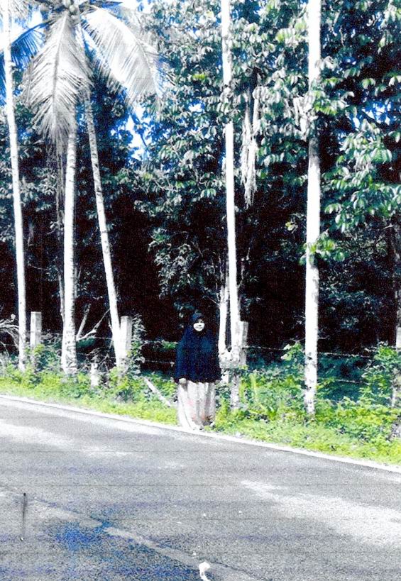 รูปที่ดินว่างเปล่า จะแนะ จะแนะ นราธิวาส