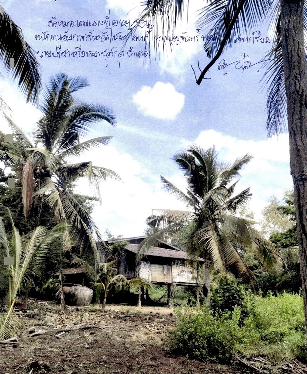 รูปที่ดินพร้อมสิ่งปลูกสร้าง ท่าเคย ท่าฉาง สุราษฎร์ธานี