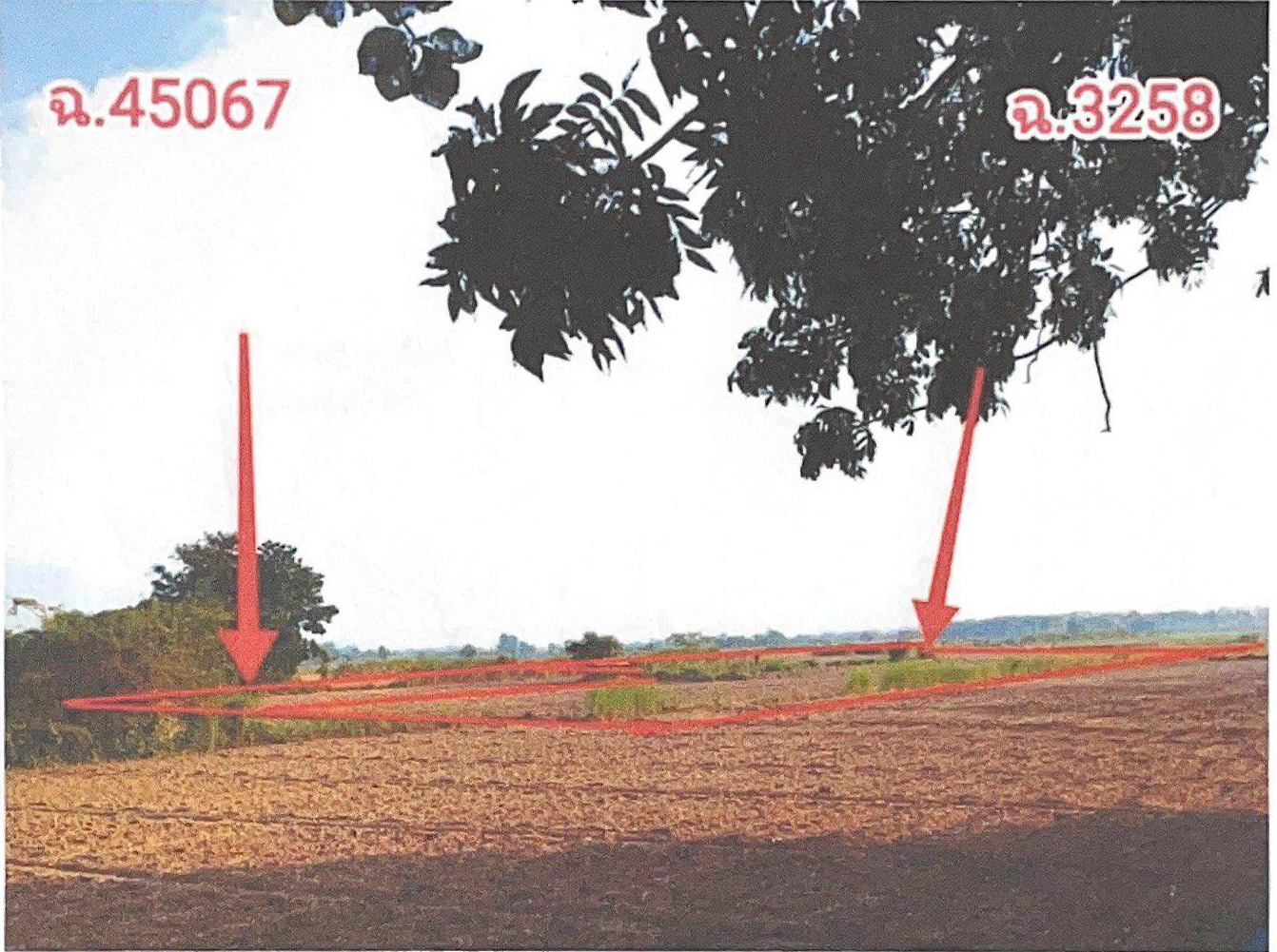 รูปที่ดินว่างเปล่า เกาะตาเลี้ยง ศรีสำโรง สุโขทัย