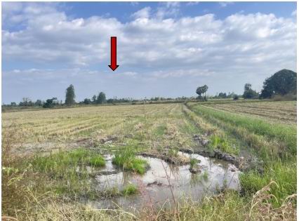 รูปที่ดินว่างเปล่า หนองกระทุ่ม ทัพทัน อุทัยธานี