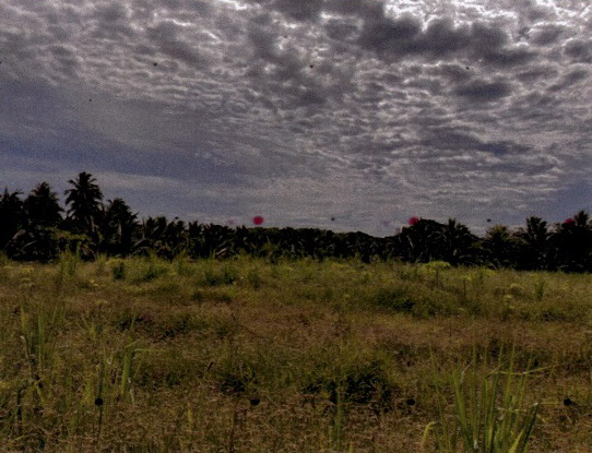รูปที่ดินว่างเปล่า ธงชัย บางสะพาน ประจวบคีรีขันธ์