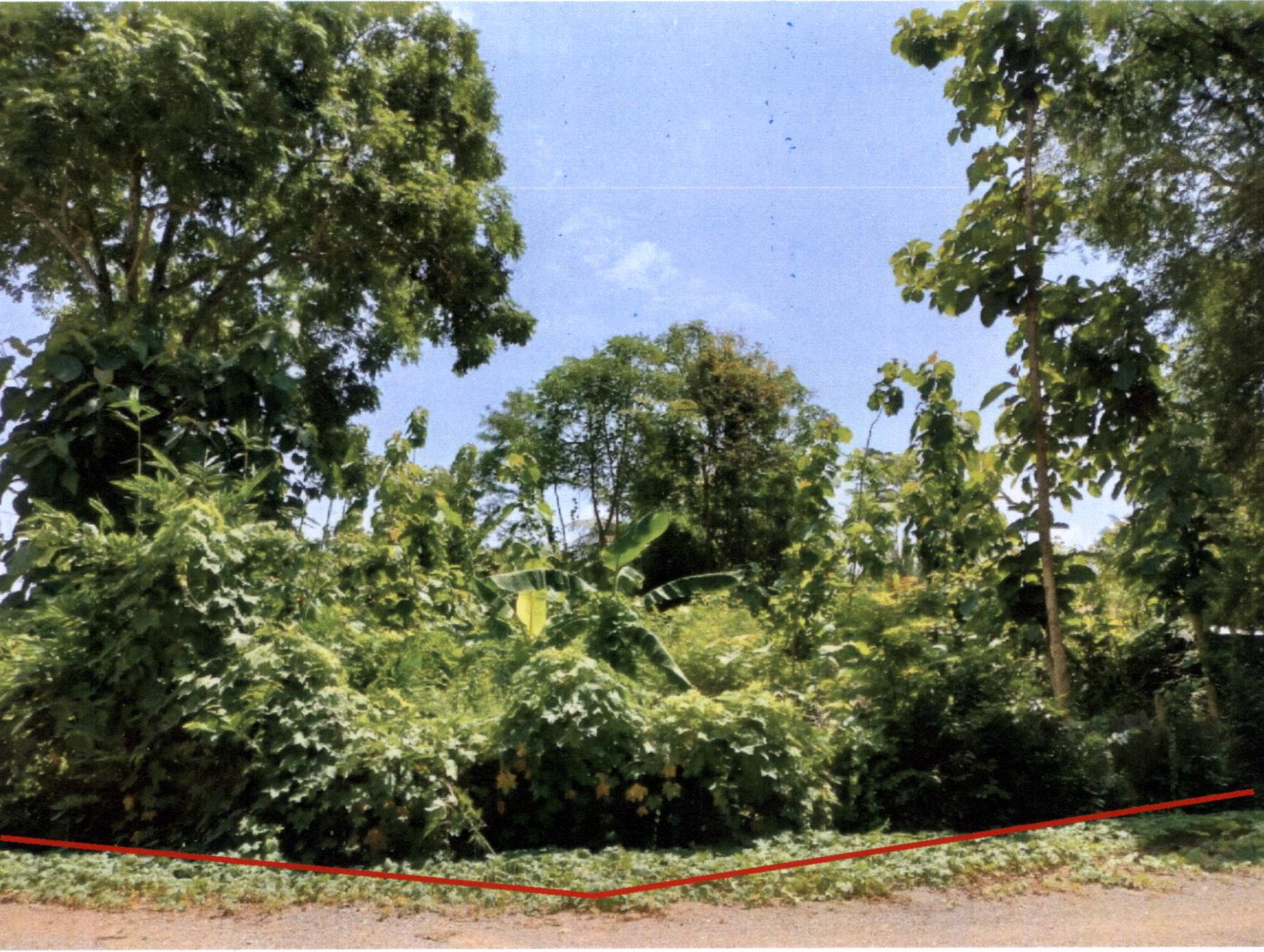 รูปที่ดินว่างเปล่า แม่คำมี เมืองแพร่ แพร่
