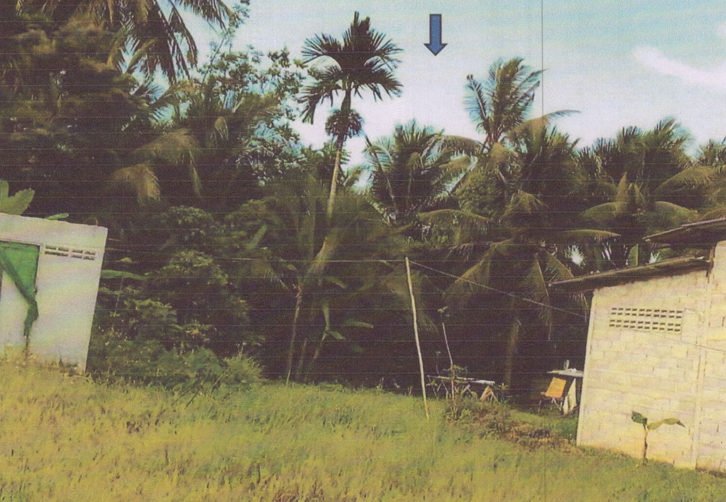 รูปที่ดินว่างเปล่า ทุ่งตำเสา หาดใหญ่ สงขลา