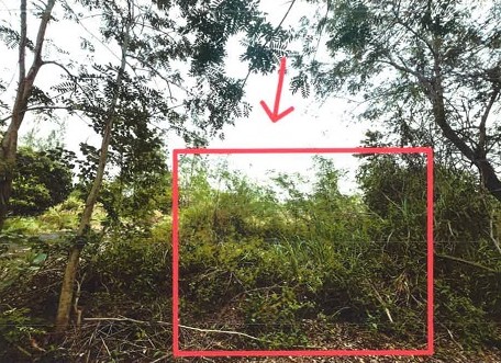 รูปที่ดินว่างเปล่า อ่างหิน ปากท่อ ราชบุรี