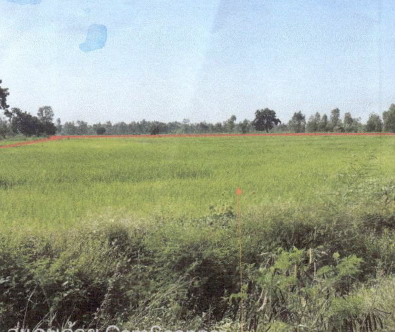 รูปที่ดินว่างเปล่า หนองกลับ หนองบัว นครสวรรค์