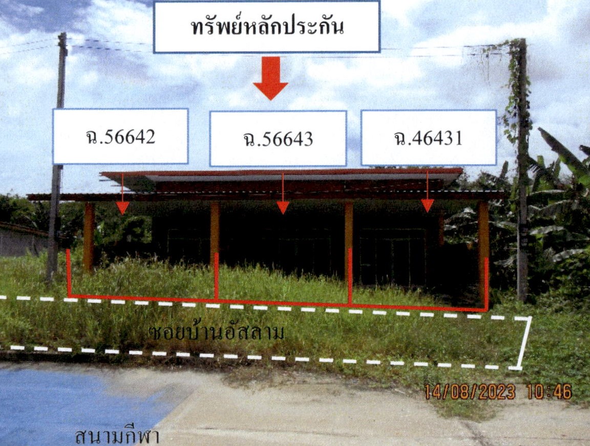 รูปที่ดินพร้อมสิ่งปลูกสร้าง ยะรัง ยะรัง ปัตตานี