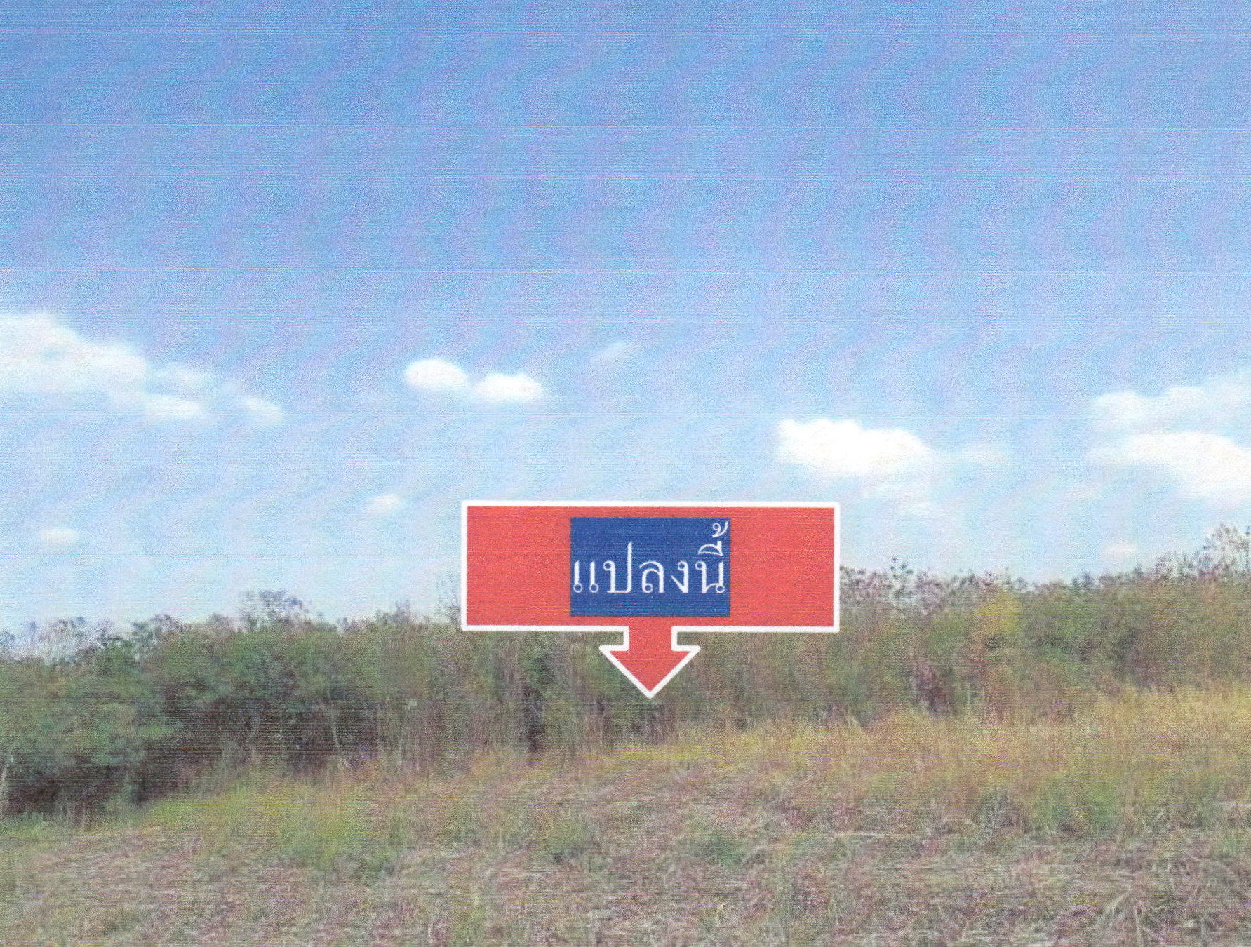 รูปที่ดินว่างเปล่า ศรีสงคราม วังสะพุง เลย