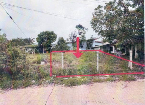รูปที่ดินว่างเปล่า พิมาน เมืองสตูล สตูล