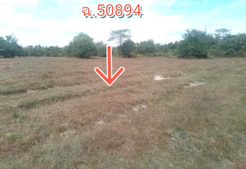 รูปที่ดินว่างเปล่า โพธิ์ชัย เมืองหนองคาย หนองคาย