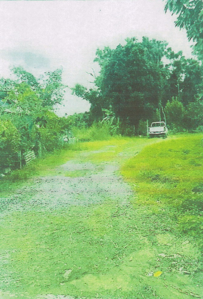 รูปที่ดินว่างเปล่า ชะมาย ทุ่งสง นครศรีธรรมราช