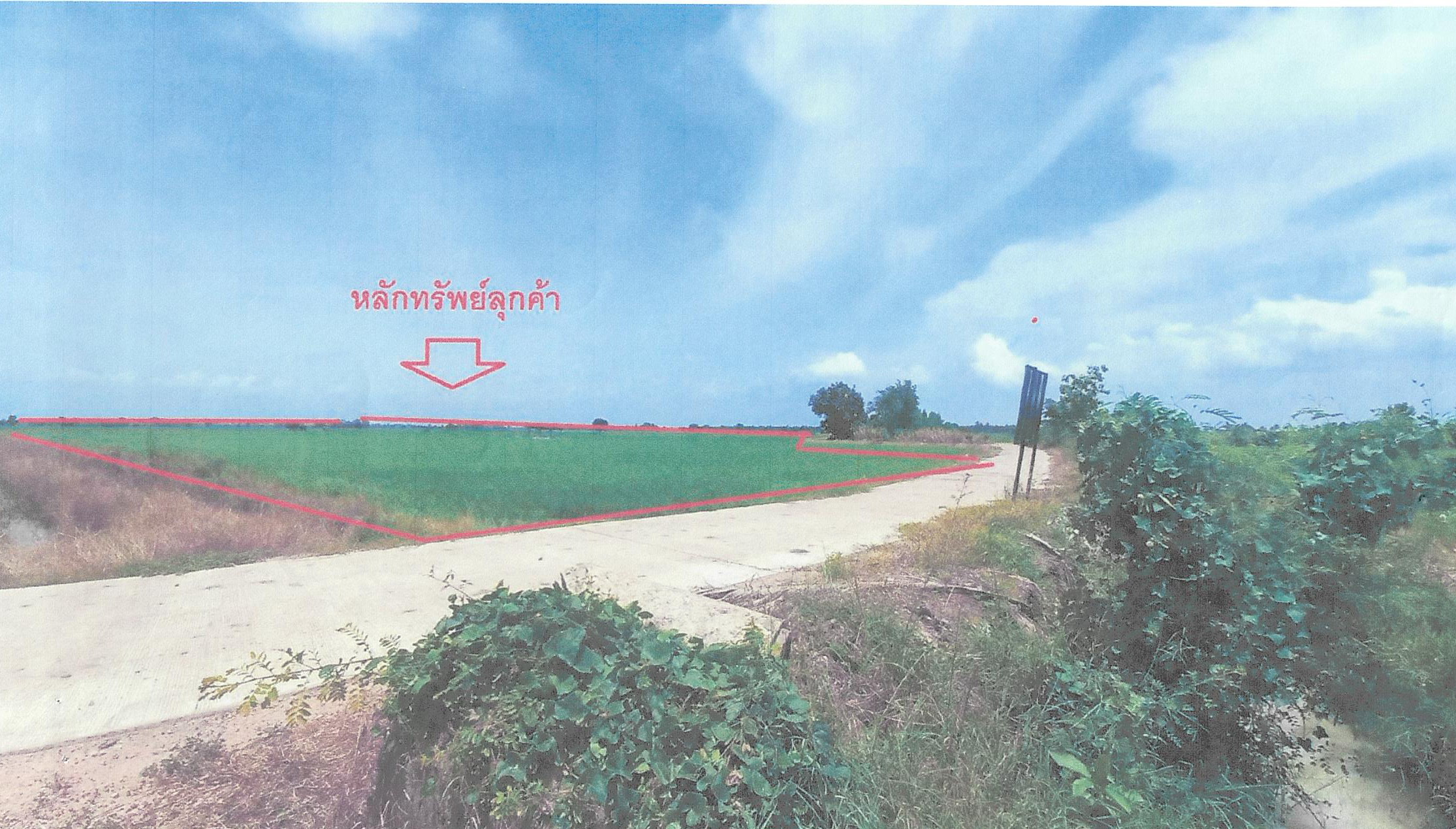 รูปที่ดินว่างเปล่า นางลือ เมืองชัยนาท ชัยนาท