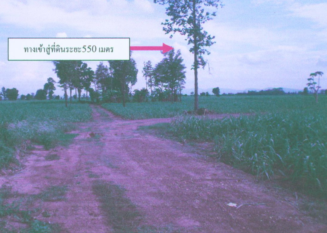 รูปที่ดินว่างเปล่า หลุบคา แก้งคร้อ ชัยภูมิ