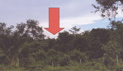 รูปที่ดินว่างเปล่า ย่านตาขาว ย่านตาขาว ตรัง