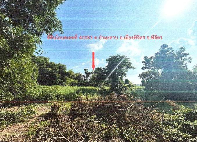 รูปที่ดินว่างเปล่า ป่ามะคาบ เมืองพิจิตร พิจิตร