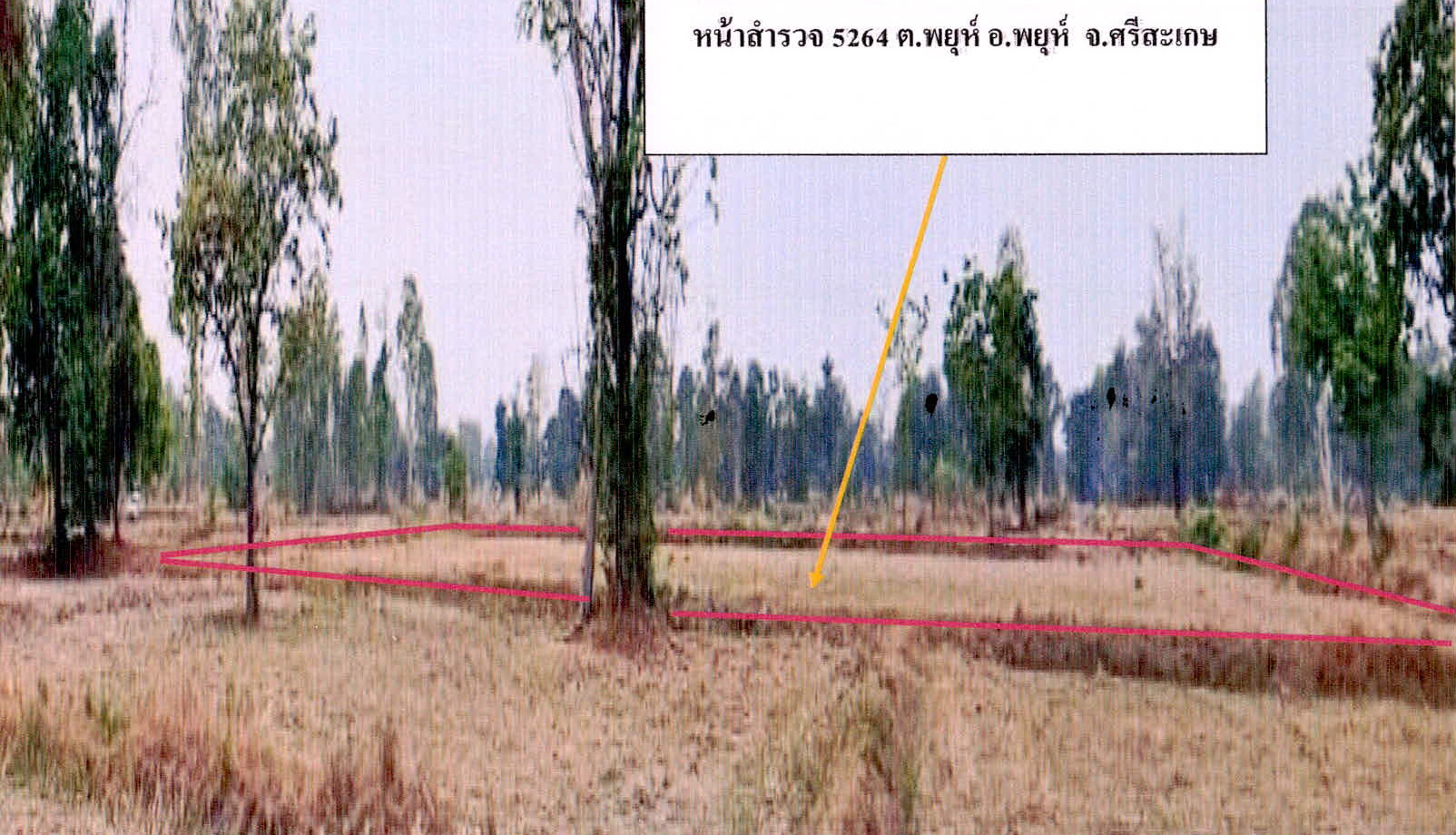 รูปที่ดินว่างเปล่า พยุห์ พยุห์ ศรีสะเกษ