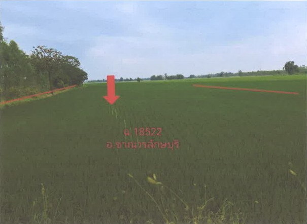 รูปที่ดินว่างเปล่า วังชะพลู ขาณุวรลักษบุรี กำแพงเพชร