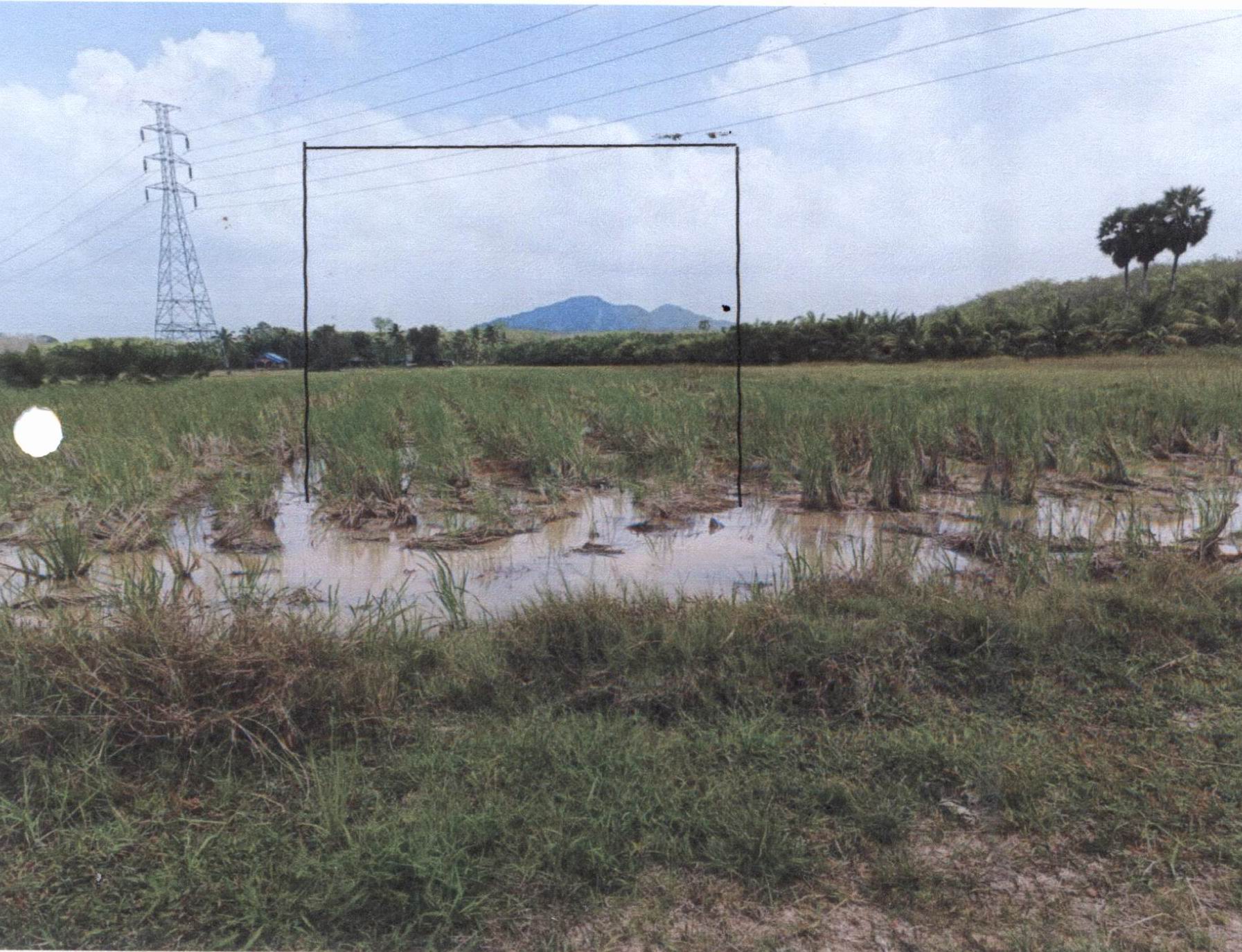 รูปที่ดินว่างเปล่า คูหาใต้ รัตภูมิ สงขลา