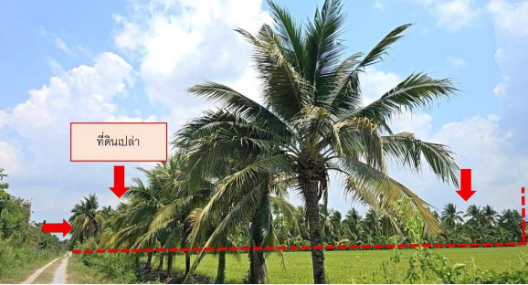 รูปที่ดินว่างเปล่า มหาสวัสดิ์ พุทธมณฑล นครปฐม