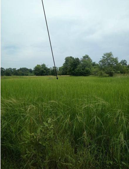 รูปที่ดินว่างเปล่า ทรายมูล สว่างแดนดิน สกลนคร