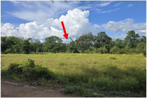 รูปที่ดินว่างเปล่า คำโตนด ประจันตคาม ปราจีนบุรี