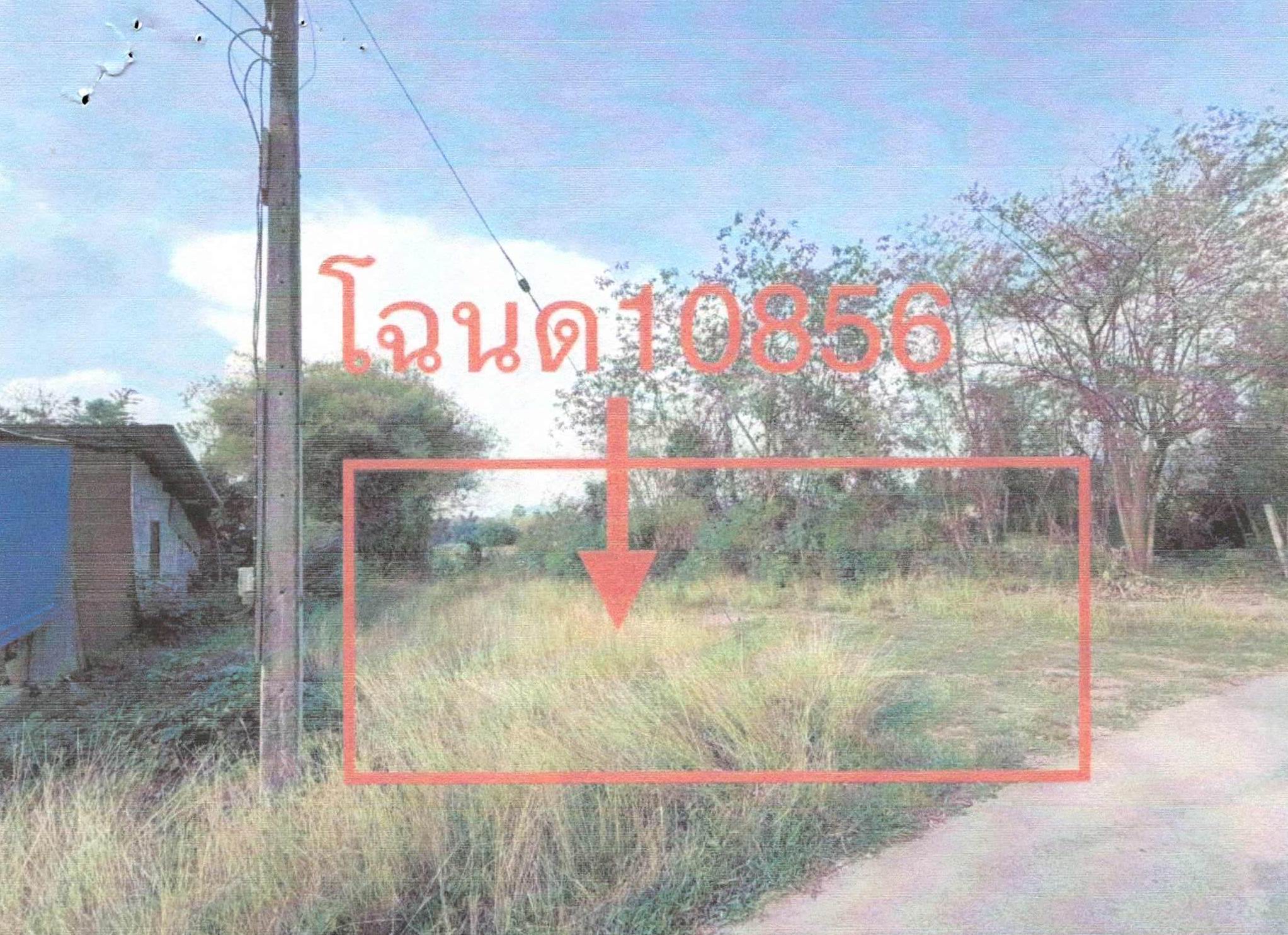 รูปที่ดินว่างเปล่า ภูหอ ภูหลวง เลย