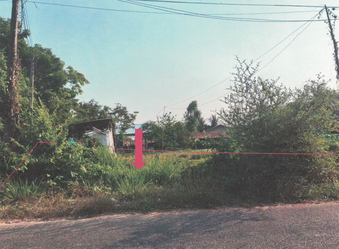 รูปที่ดินว่างเปล่า จานลาน พนา อำนาจเจริญ