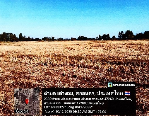 รูปที่ดินว่างเปล่า เต่างอย เต่างอย สกลนคร