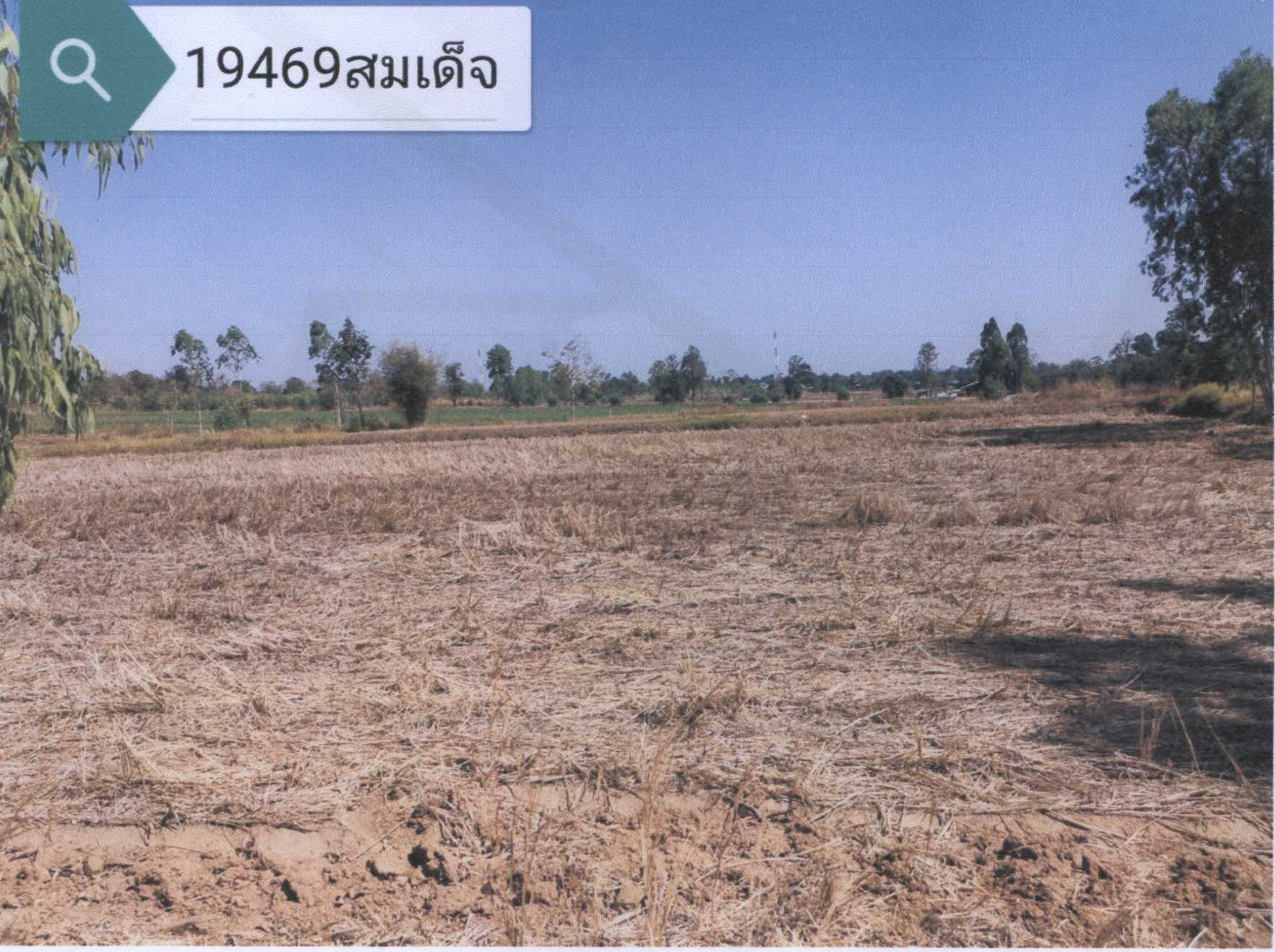 รูปที่ดินว่างเปล่า หนองแวง สมเด็จ กาฬสินธุ์