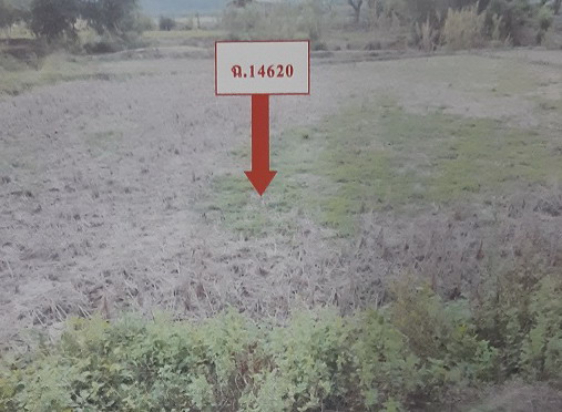 รูปที่ดินว่างเปล่า ทาปลาดุก แม่ทา ลำพูน