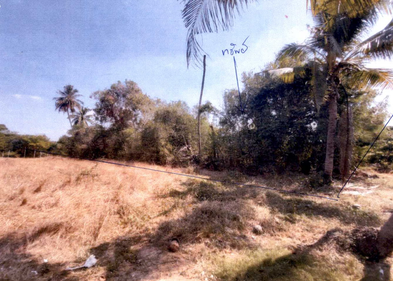 รูปที่ดินว่างเปล่า สามชุก สามชุก สุพรรณบุรี