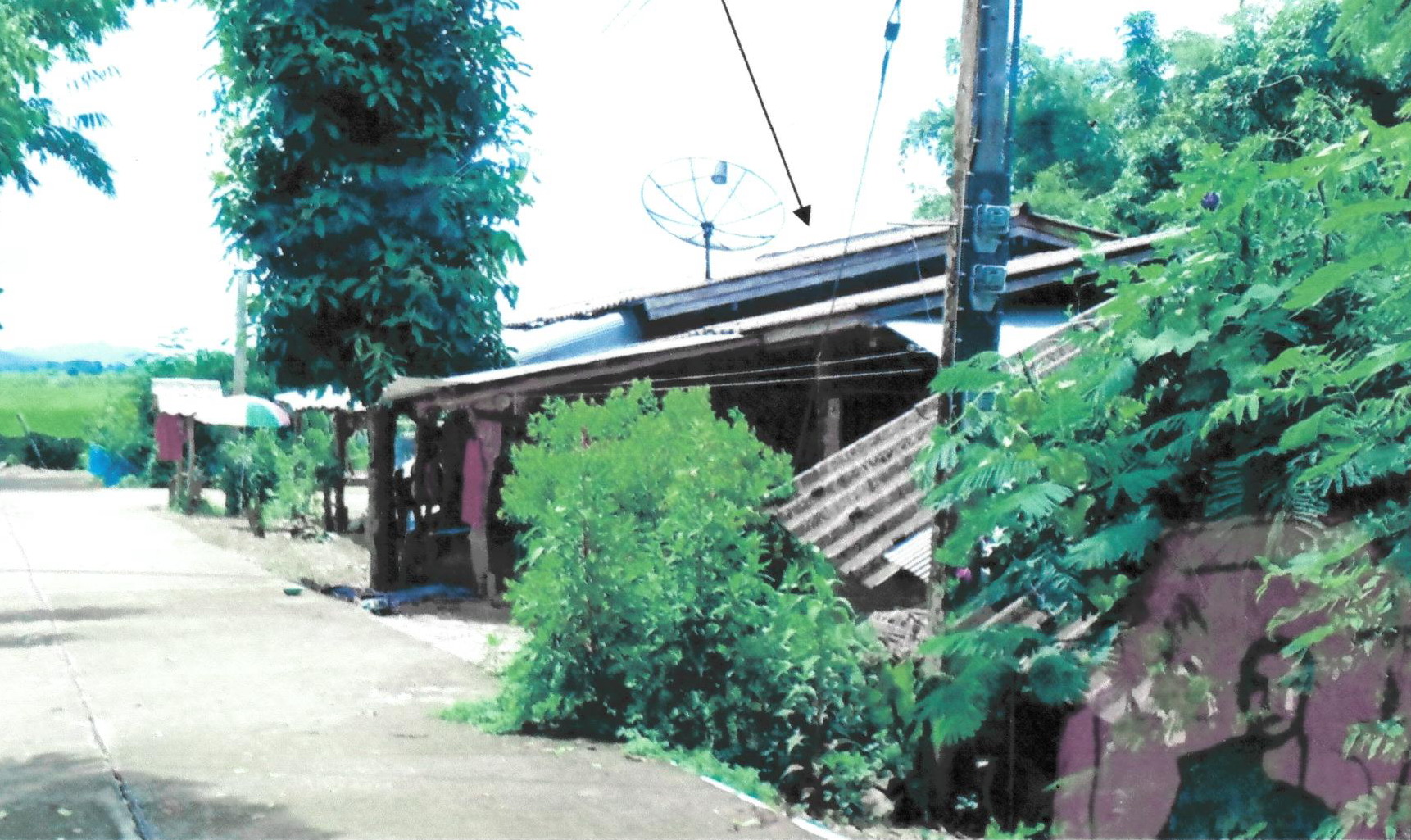 รูปที่ดินพร้อมสิ่งปลูกสร้าง ป่าตาล ขุนตาล เชียงราย