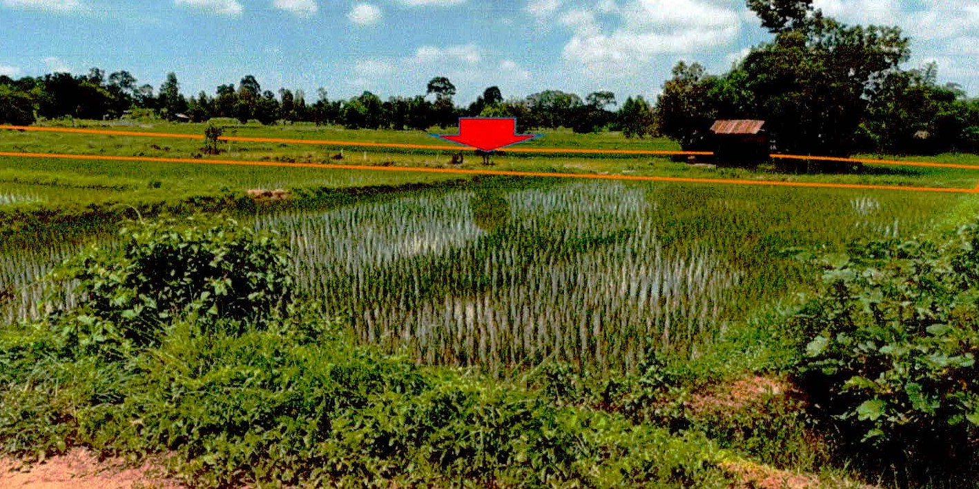รูปที่ดินว่างเปล่า หนองแหน กุดชุม ยโสธร