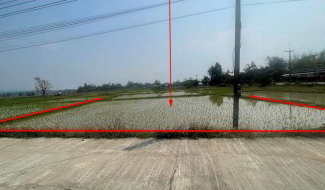 รูปที่ดินว่างเปล่า ป่าแดด แม่สรวย เชียงราย
