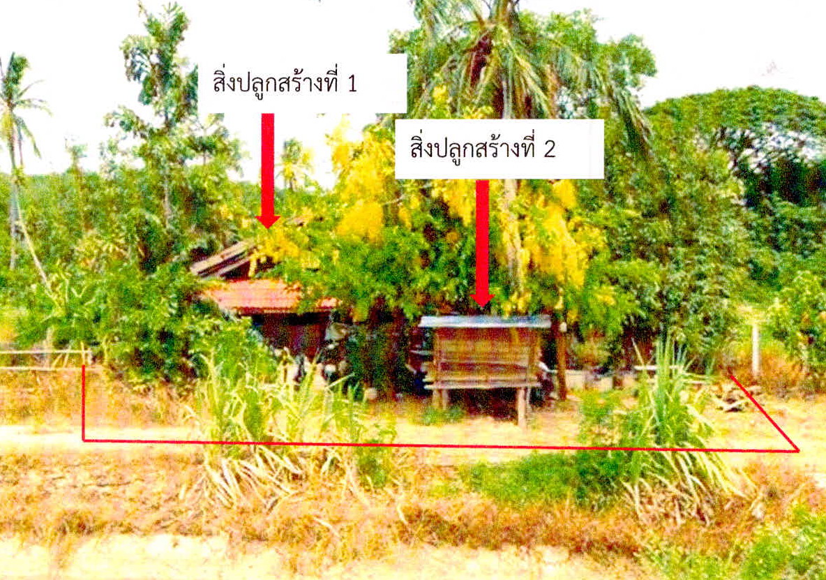รูปที่ดินพร้อมสิ่งปลูกสร้าง ศรีษะเกษ นาน้อย น่าน
