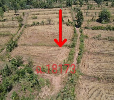 รูปที่ดินว่างเปล่า บ้านเสียว นาหว้า นครพนม